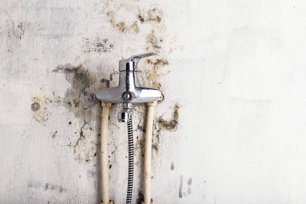 Mold Testing and Removal in Walkerton, IN