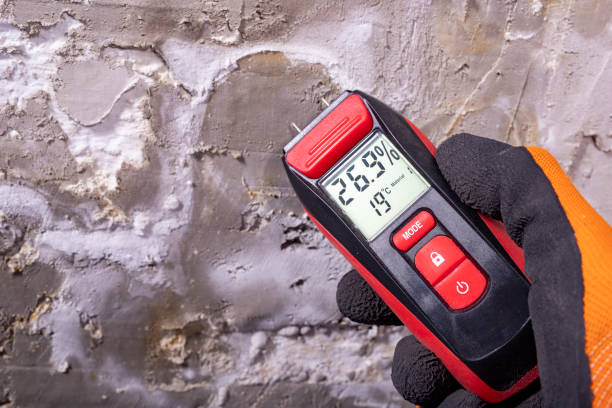 Best Toxic Mold Removal  in Walkerton, IN